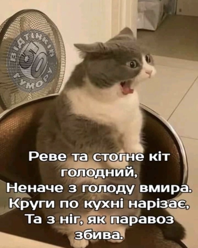 изображение_viber_2021-03-09_08-03-15.jpg