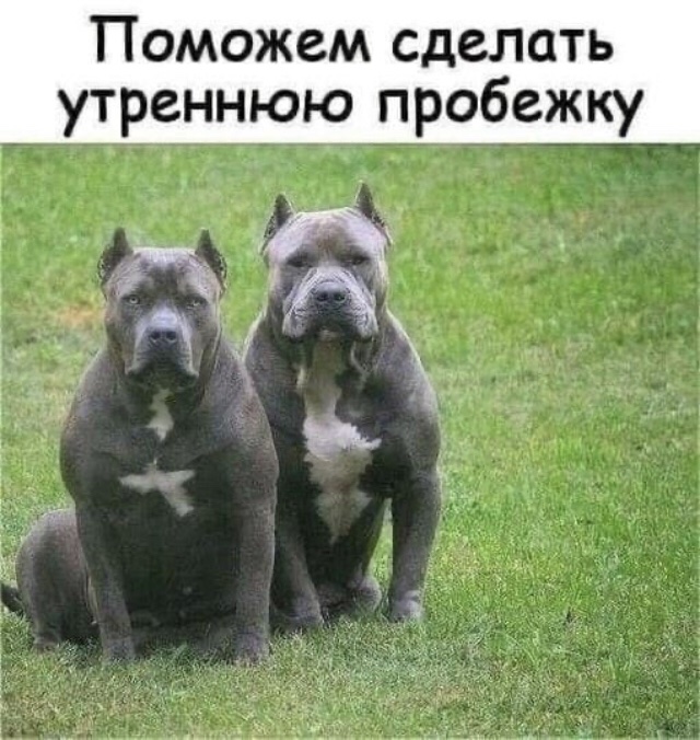 изображение_viber_2021-03-12_08-11-10.jpg