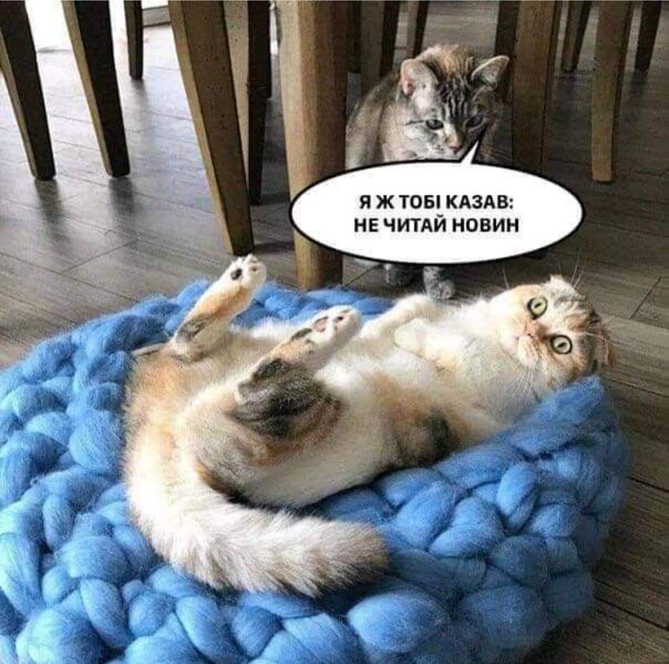 изображение_viber_2021-03-12_13-38-05.jpg