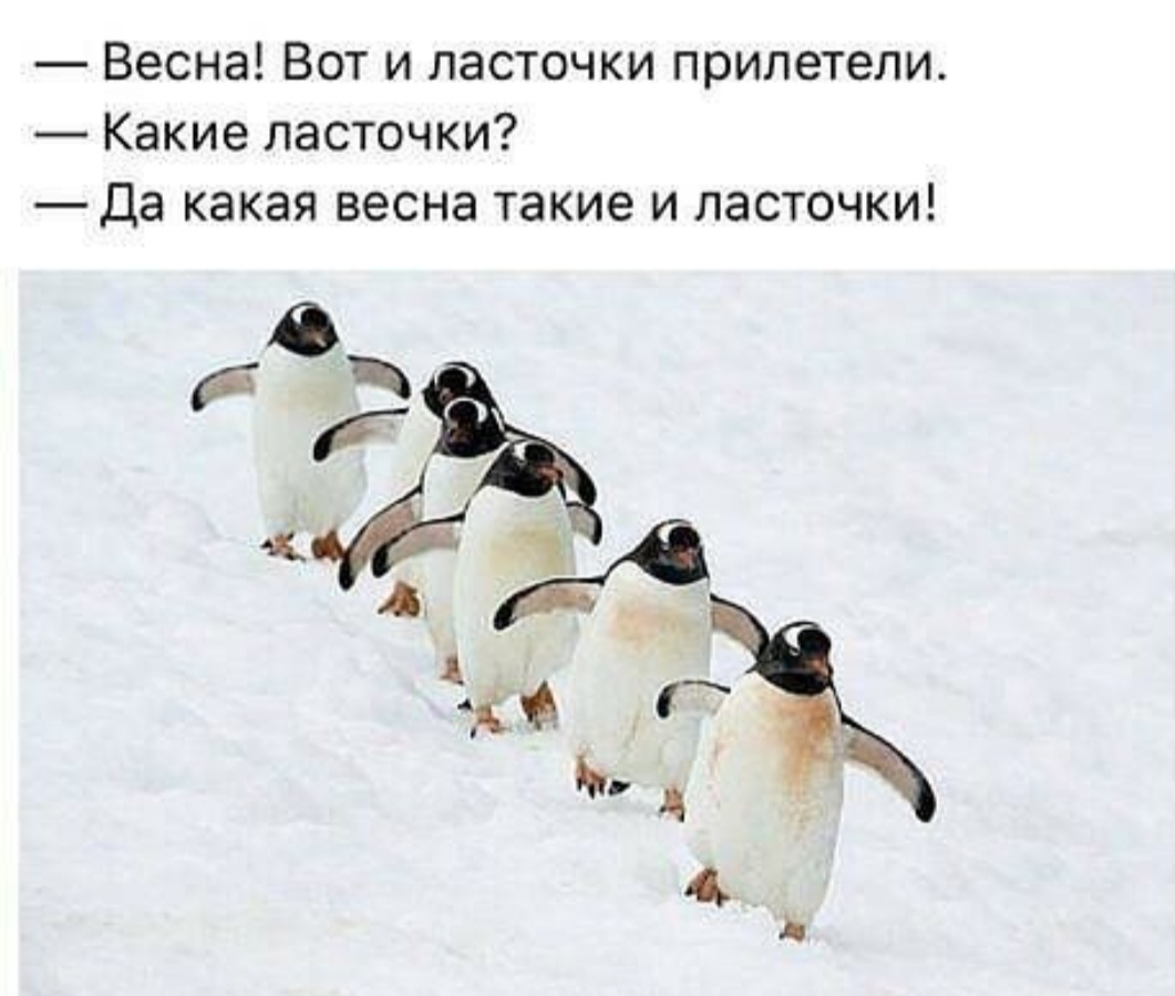 изображение_viber_2021-03-12_13-44-30.jpg