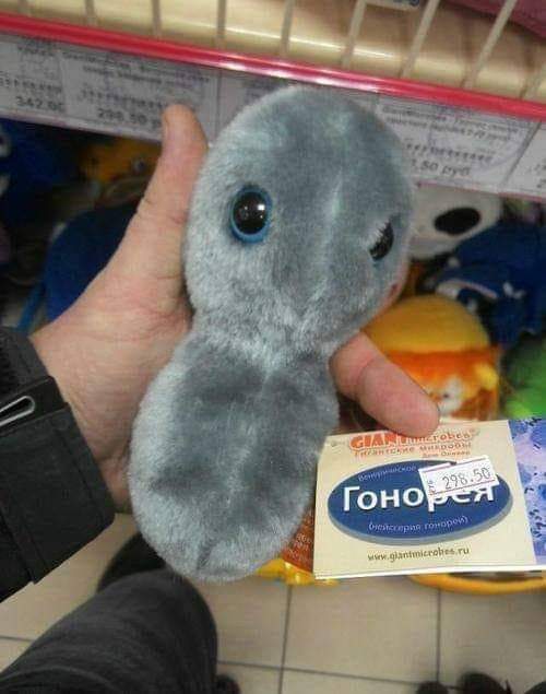 изображение_viber_2021-03-30_06-55-15.jpg