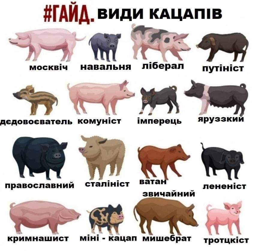 изображение_viber_2021-03-30_23-00-07.jpg