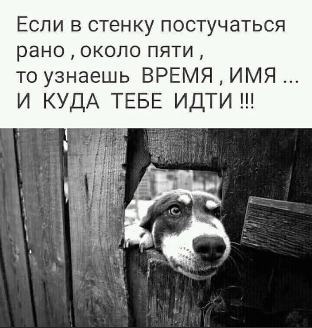 изображение_viber_2021-04-04_09-10-03.jpg