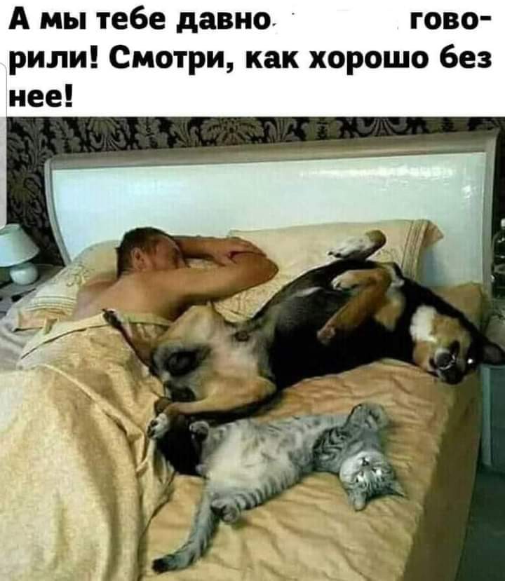 изображение_viber_2021-04-07_13-25-53.jpg