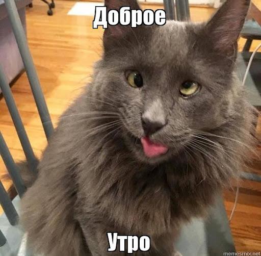 изображение_viber_2021-04-08_07-37-25.jpg