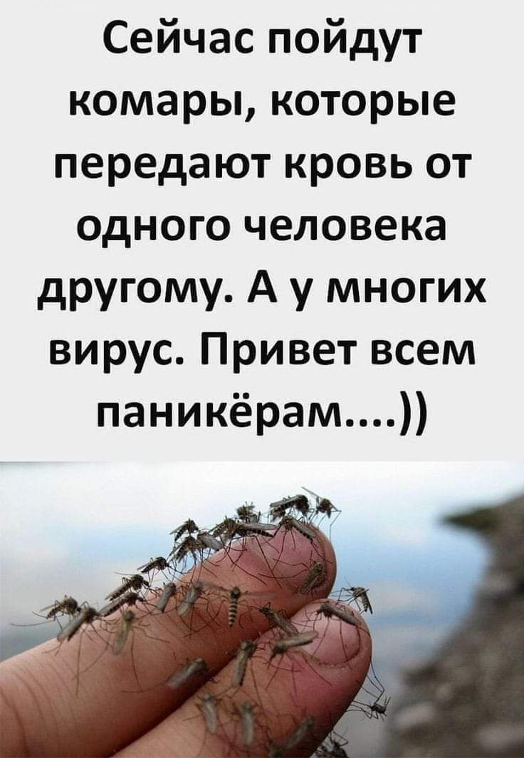 изображение_viber_2021-04-08_12-37-04.jpg