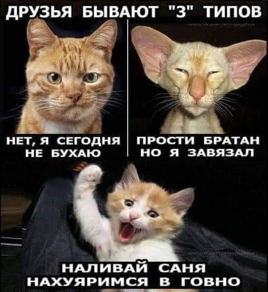 изображение_viber_2021-04-08_13-19-39.jpg