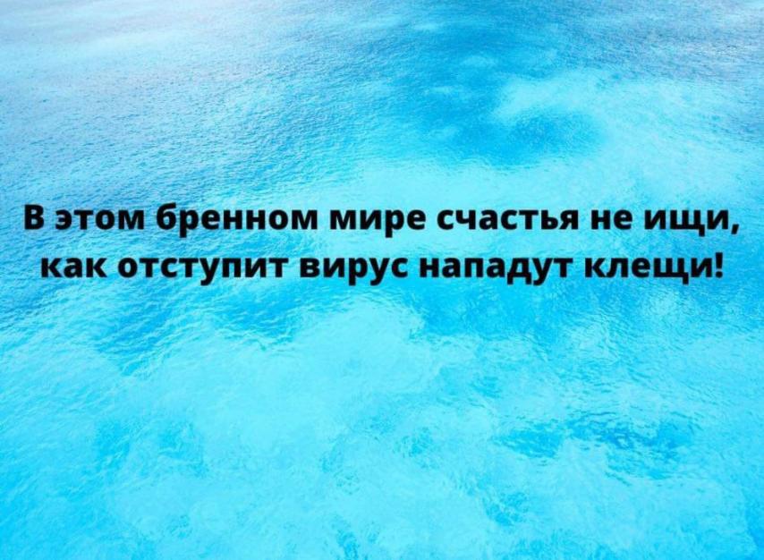 изображение_viber_2021-04-08_16-05-22.jpg