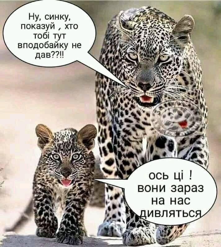 изображение_viber_2021-04-14_19-53-33.jpg