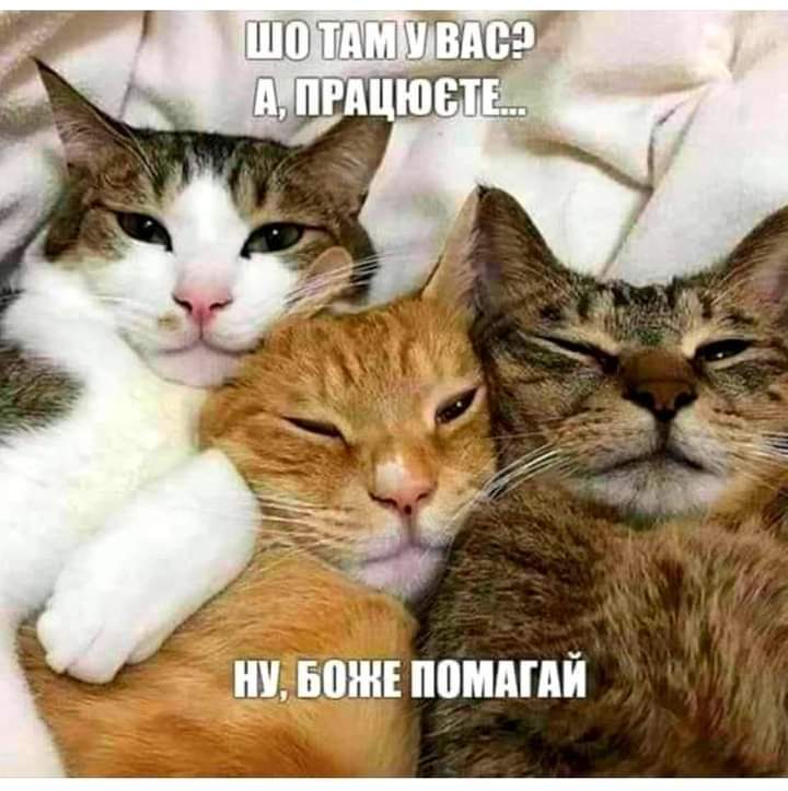 изображение_viber_2021-04-28_13-19-58.jpg