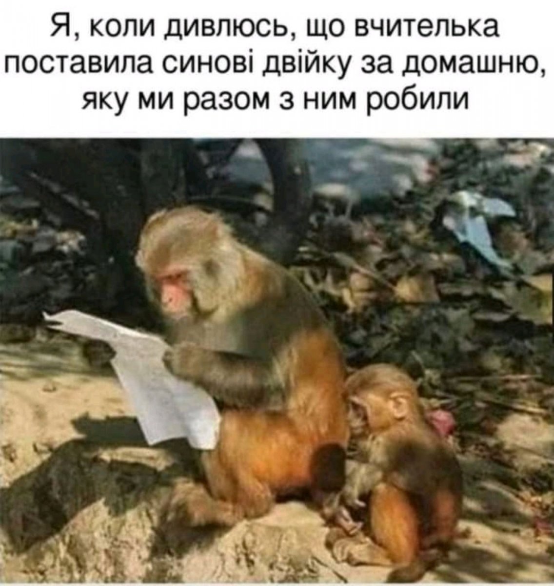 изображение_viber_2021-04-29_08-26-47.jpg