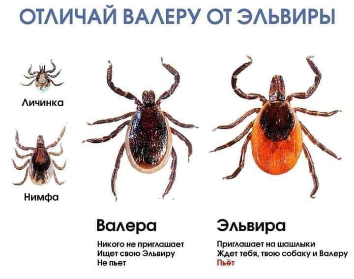изображение_viber_2021-04-29_22-42-02.jpg