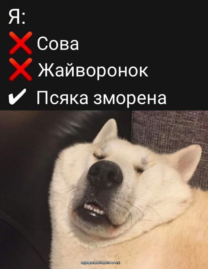 изображение_viber_2021-04-30_22-50-14.jpg