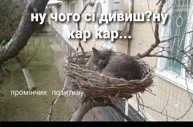 изображение_viber_2021-05-09_17-53-29.jpg