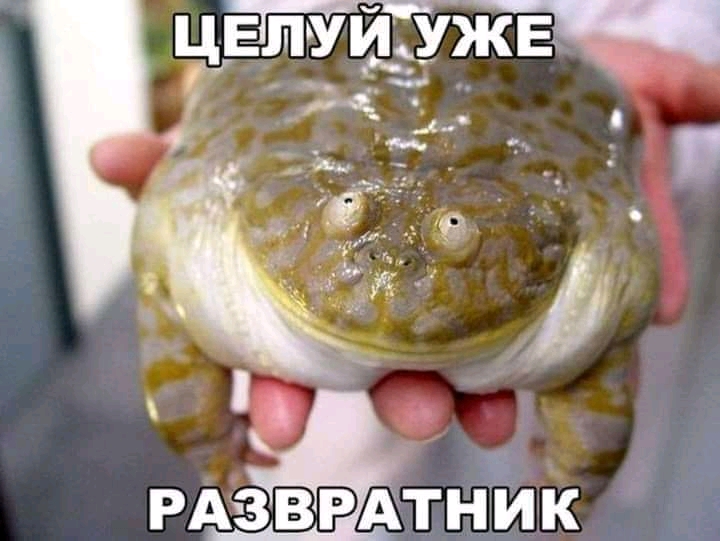 изображение_viber_2021-05-11_10-56-30.jpg