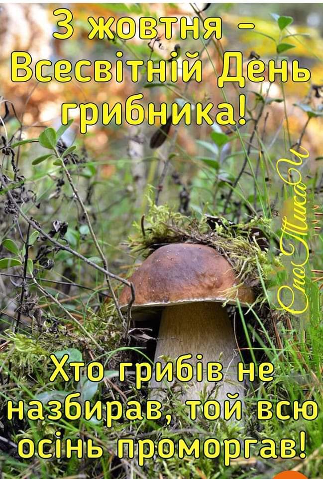 изображение_viber_2022-10-03_10-02-17-584.jpg