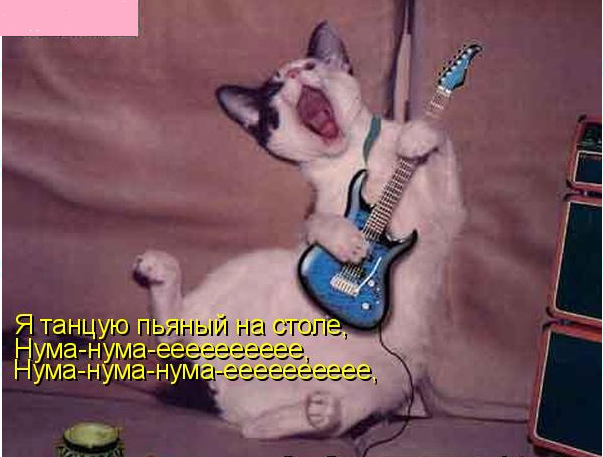 я танцую пьяный на столе.png