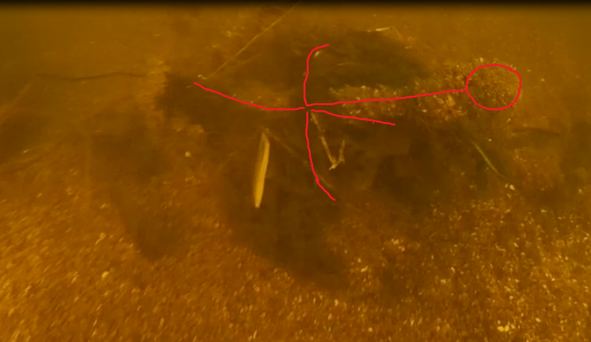 якорь 1.png