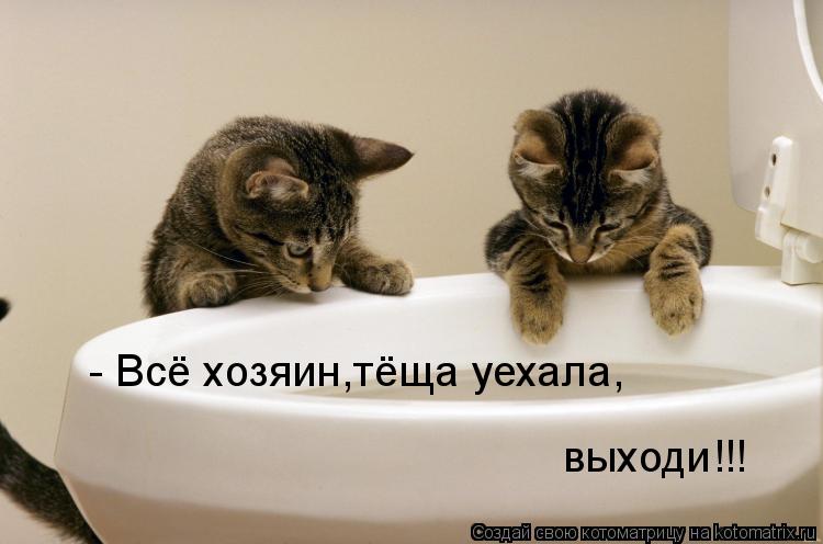яurl.jpeg