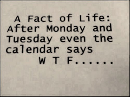 jk_wtf-week.jpg