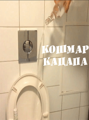 кац.gif