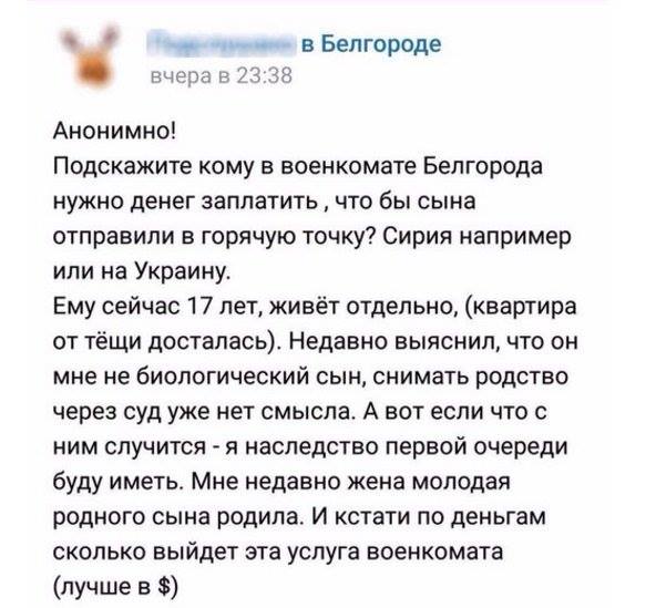 кац.jpg