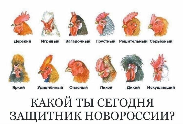 как.jpg