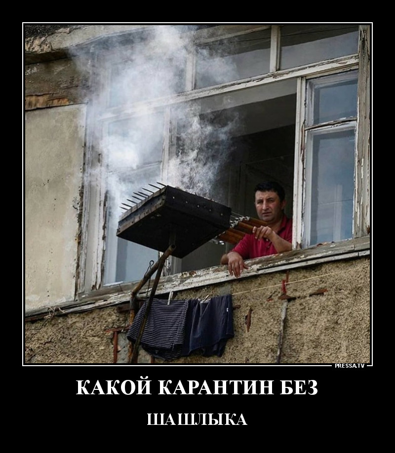 карантин.jpg