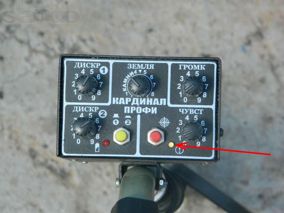 kardinal1.JPG