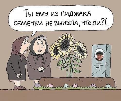 картинки-гопники-Семки-растительность-1157109.jpeg