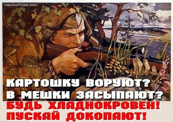 картошку-воруют.jpg
