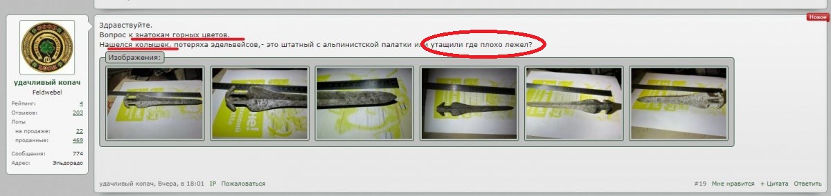 казус.jpg