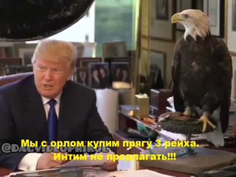 казус.jpg