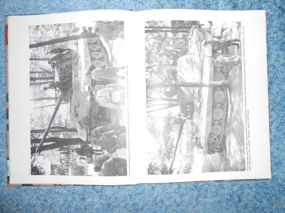 кинг тигр 2.jpg