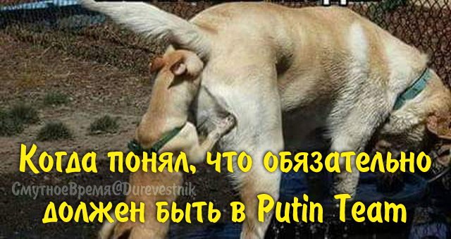 ког.jpg