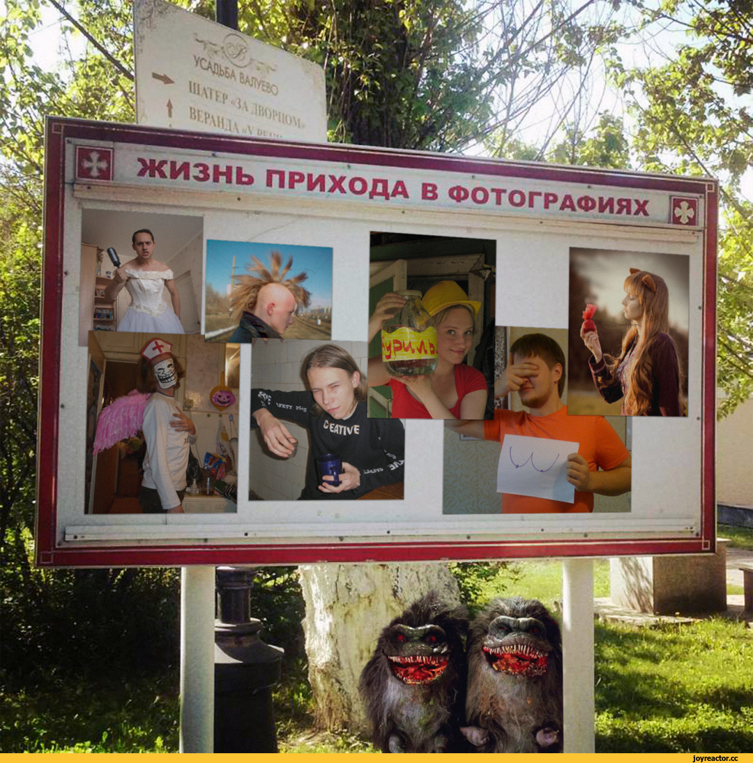 комменты-Реактора-split-zubo-Casey-3364964.jpeg