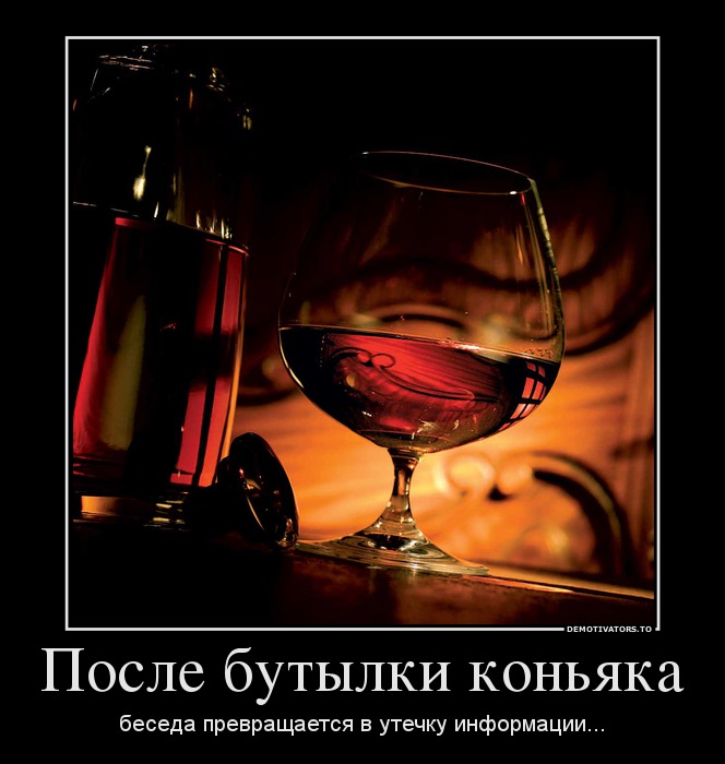 кон2.jpg