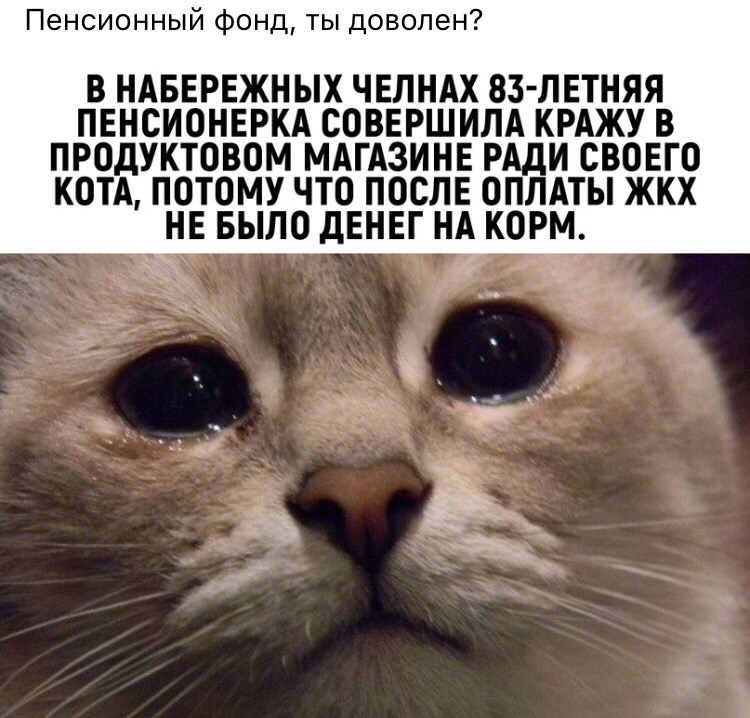 KondgrqUOLU.jpg