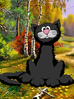 кот.gif
