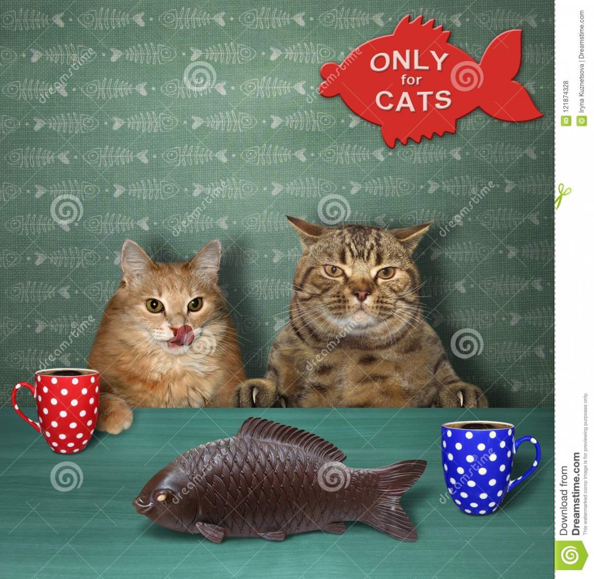кота-в-кафе-121874328.jpg