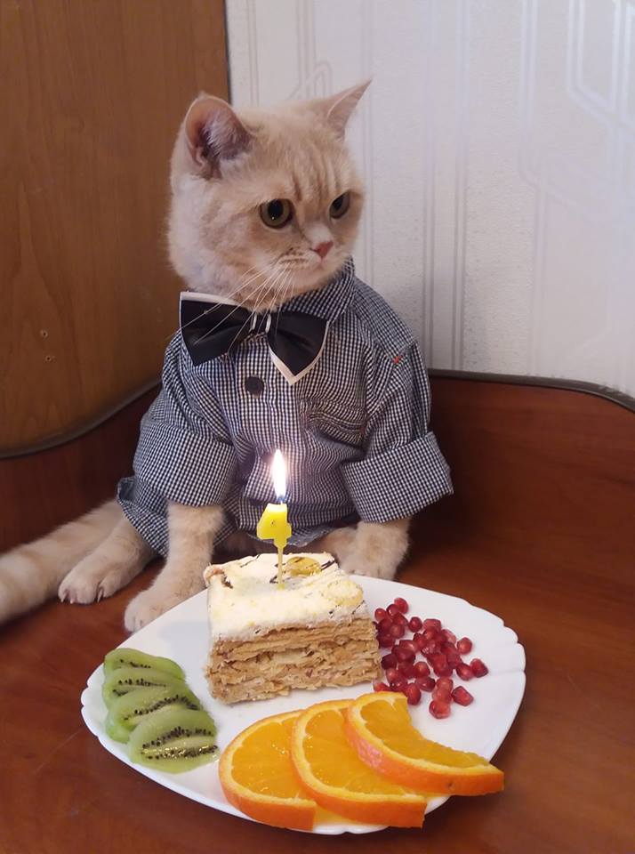 Котовский.jpg