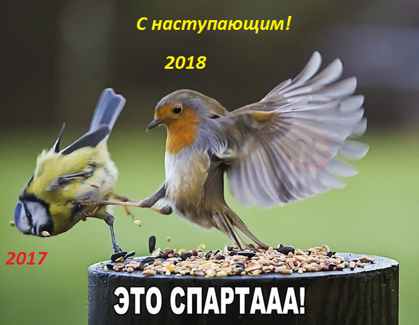 кпрат.png