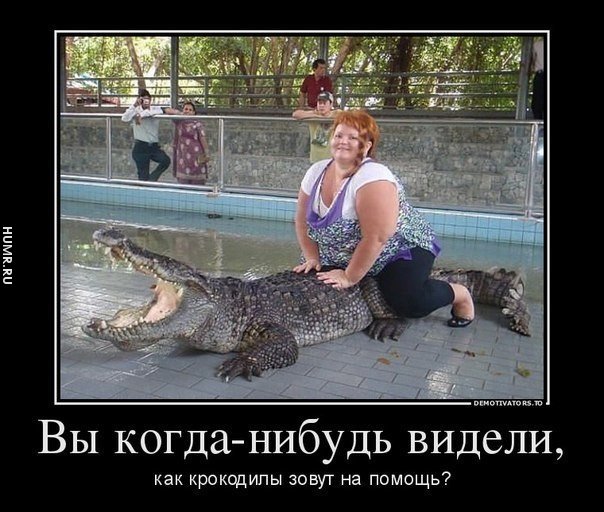 крокодил кричит.jpeg