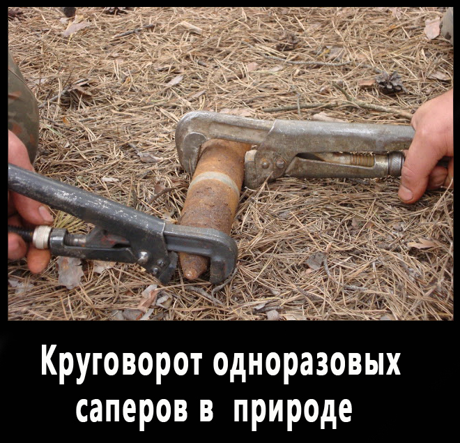 Круговорот саперов.jpg