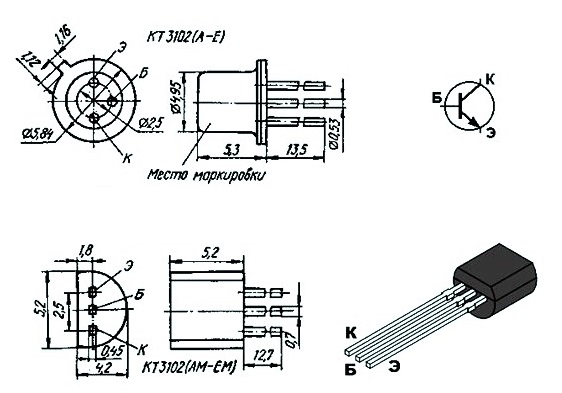 kt3102_tsokolevka.jpg