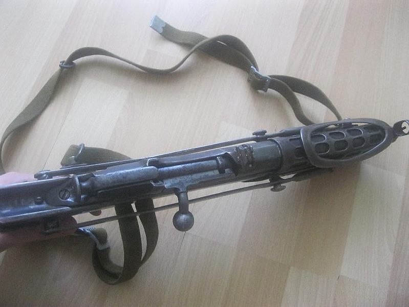 куцопал2.jpg