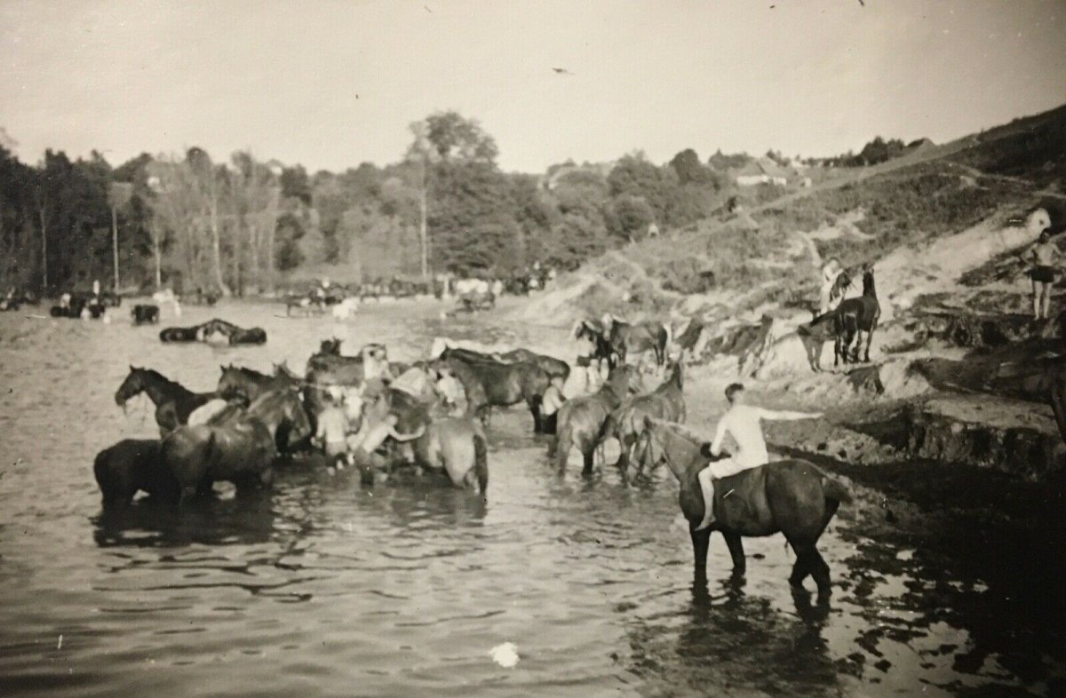 Кунка (с.) Винн. обл. Купание коней (Kunka Winnyzjа Ostfeldzug Pferdeschwem 19.8.1941).jpg