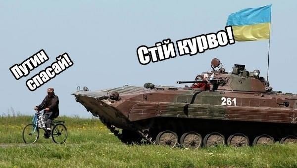 курво.jpg