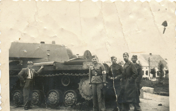 kv tern.jpg