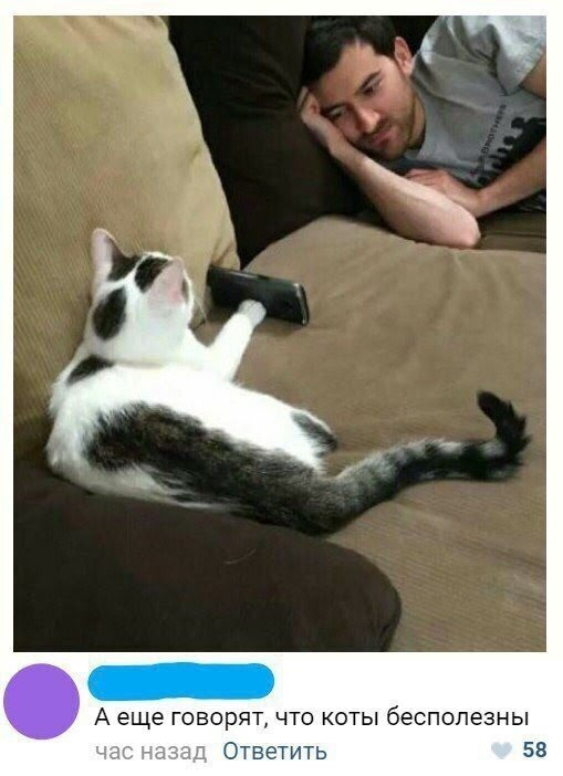 kvhmisupupe.jpg